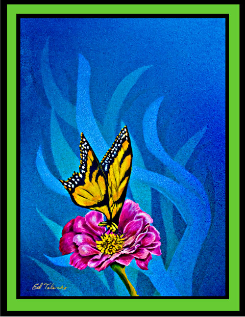 blue-butterfly