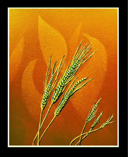 wheat