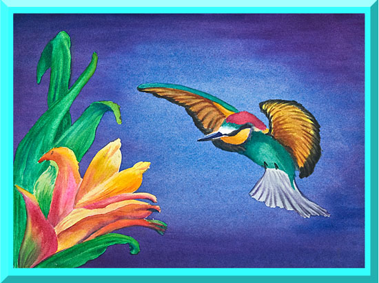 hummingbird2